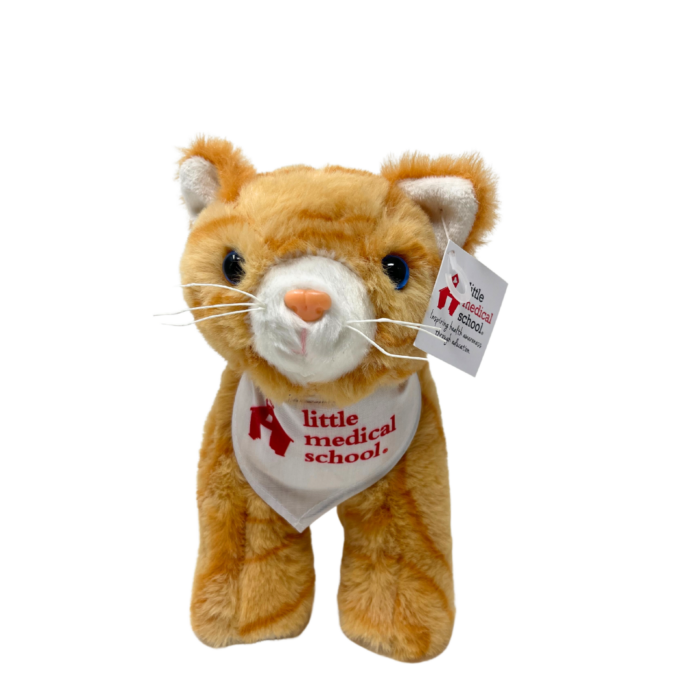 NEW Cat Veterinarian Set - Image 2