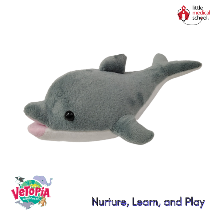 Vetopia: Echo the Dolphin - Image 3
