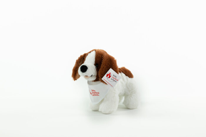 Veterinarian Dog Activity Set - Image 3
