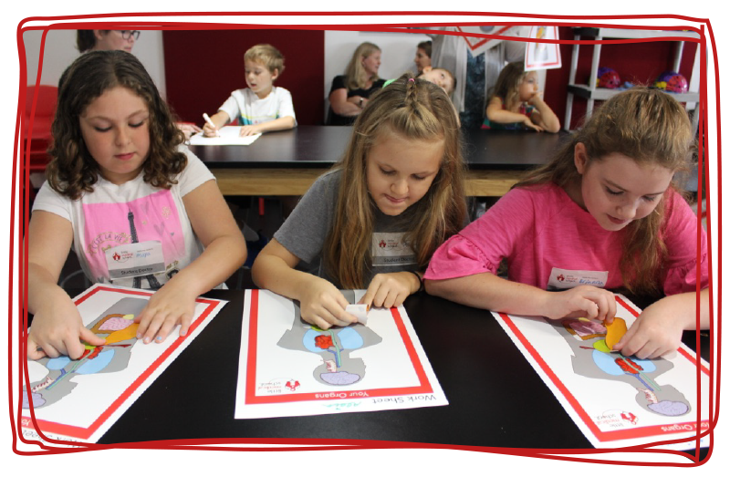 3 kids learning about anatomy and STEM in a summer camp by Little Medical School