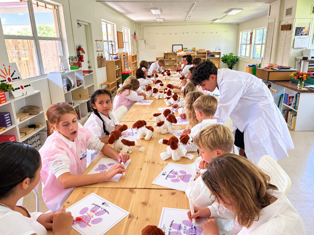 Bright classroom learning moment