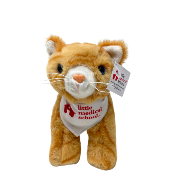 NEW Cat Veterinarian Set - Image 2