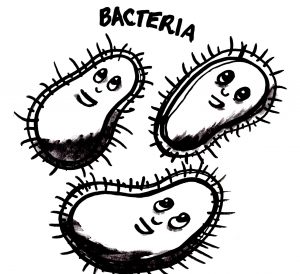Bacteria a type of germs