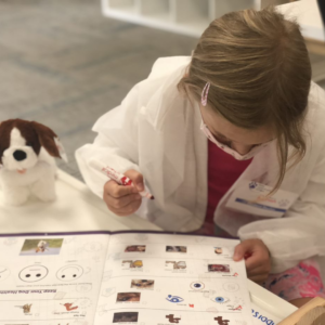 Little Veterinarian (Cat) Summer Camp (French)