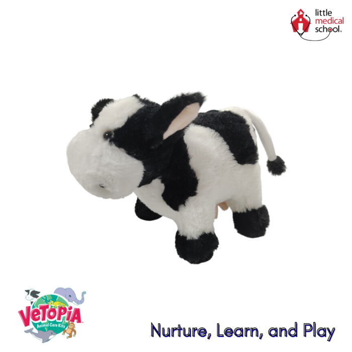 Vetopia: Mable the Dairy Cow - Image 2