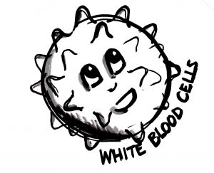 White Blood Cells 