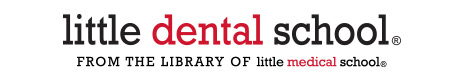 lildental lildental