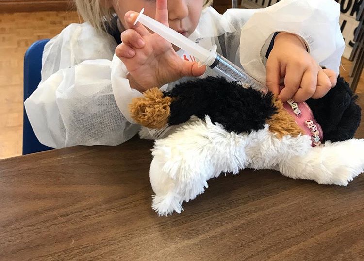 Little Medical School of the Treasure Coast offers veterinarian cat after school classes for kids in Fort Lauderdale.