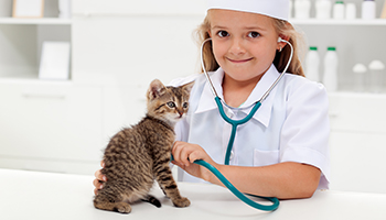 Little girl playing vet's office listening to a kitten's heart with a stethescope