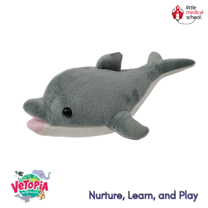 Vetopia-Echo-the-Dolphin-Veterinary-Kit