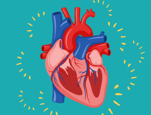 Heartbeat Detectives STEM Activity