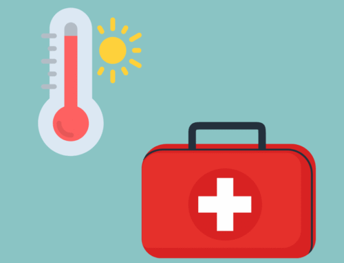 Keeping It Cozy: The Science of Staying Warm